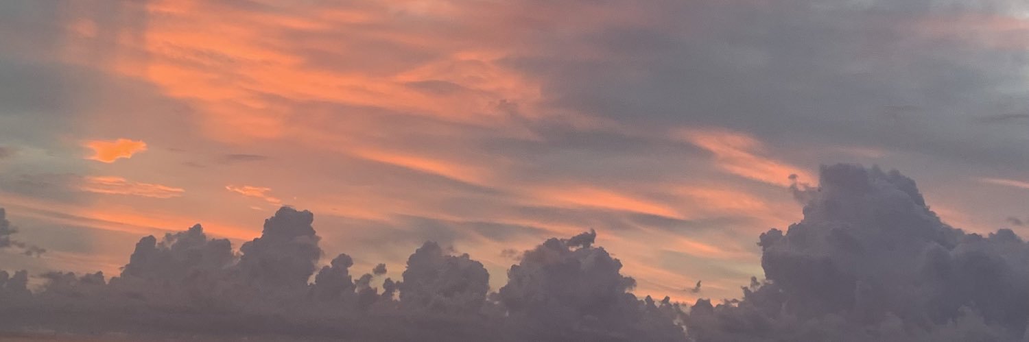 ruthlessdud3's profile banner image