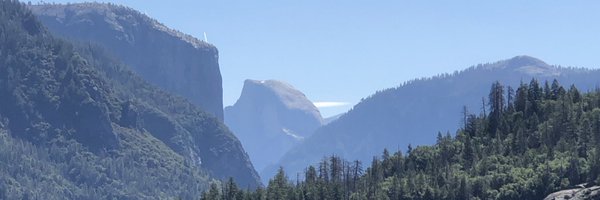 dror_sharon Profile Banner