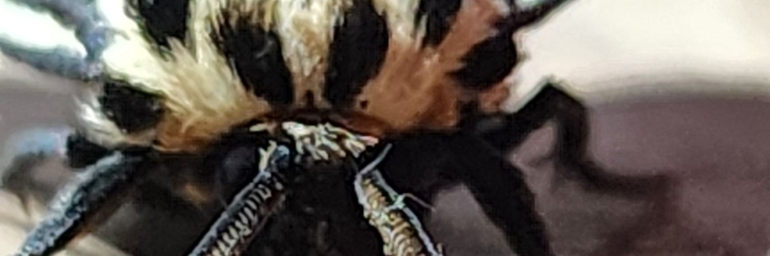 TurndedThaPage banner