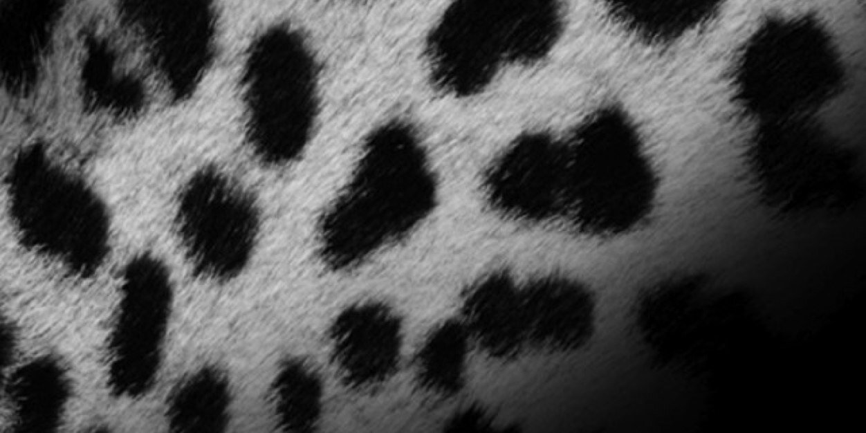 _shannn0's profile banner image