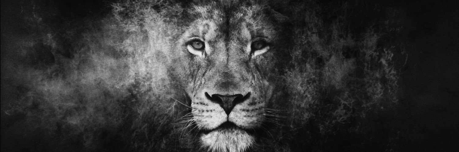 lejunism's profile banner image