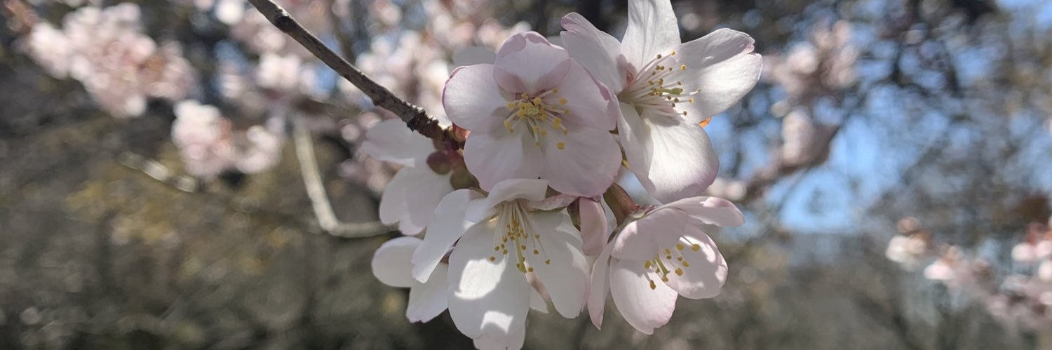 Jaz is on Instagram 🇱🇨🇺🇸 banner