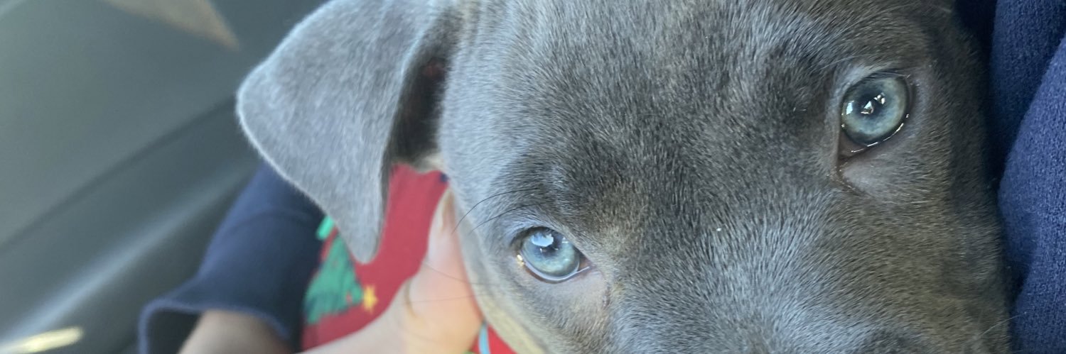 AshleyDieppa's profile banner image