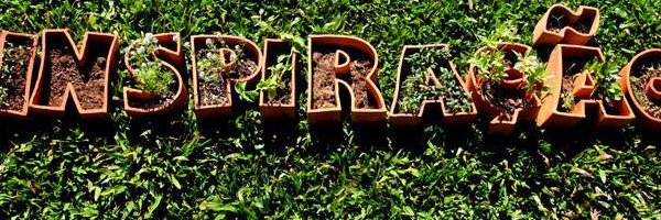 _Sil_Braga's profile banner image