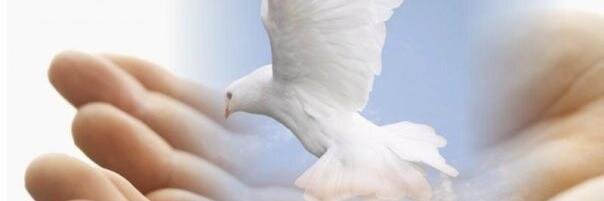chandanbokaro's profile banner image