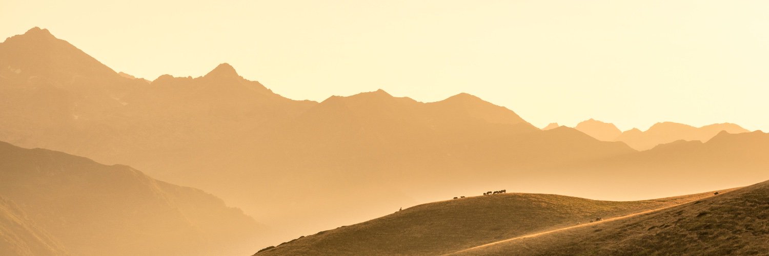 JuanjoFuster's profile banner image