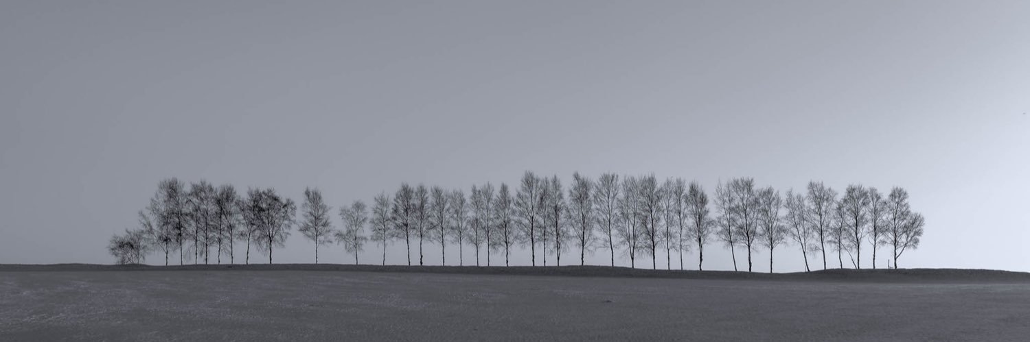 ermithann's profile banner image