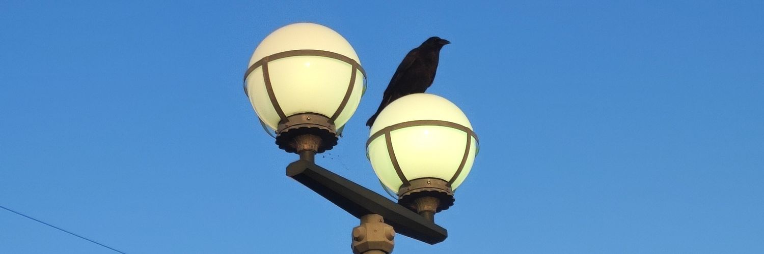 Lemulorenzo's profile banner image