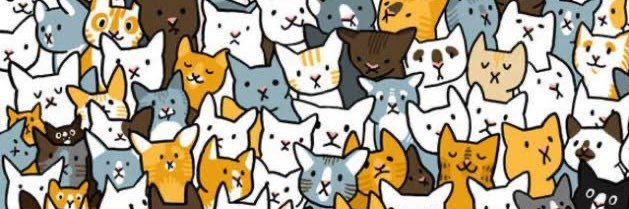 shalalattar's profile banner image