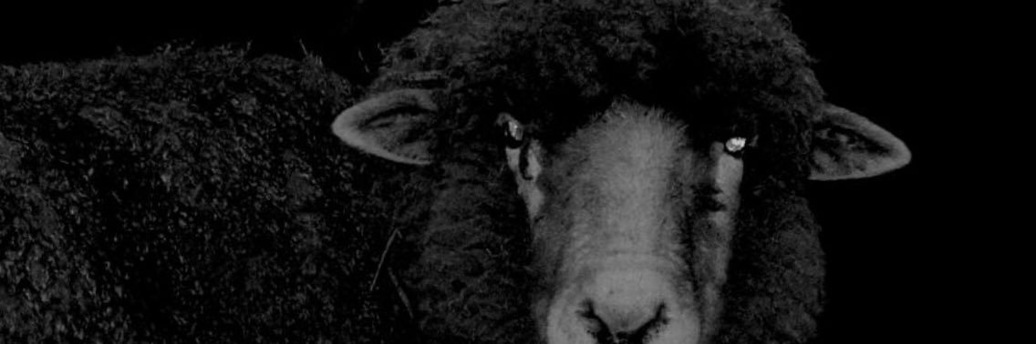 TheeBlaccSheep's profile banner image