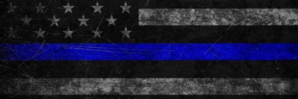 Dave Andrews🇺🇸 banner