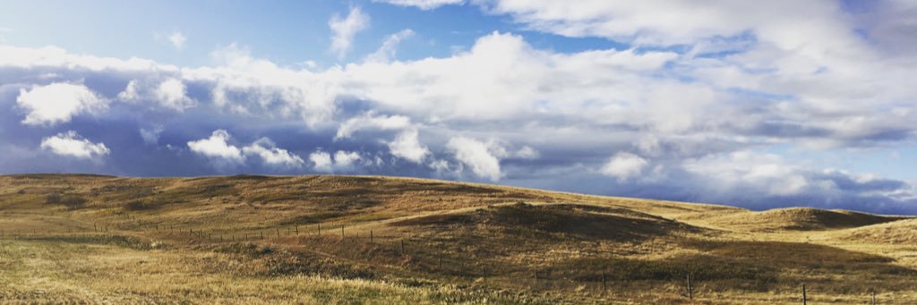 kelleylb's profile banner image