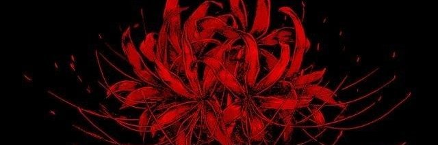 Shellbyxok's profile banner image