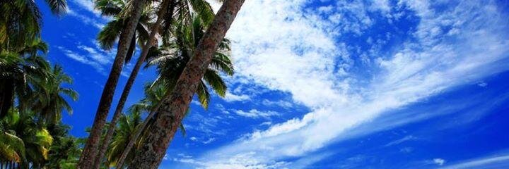 musdahae's profile banner image