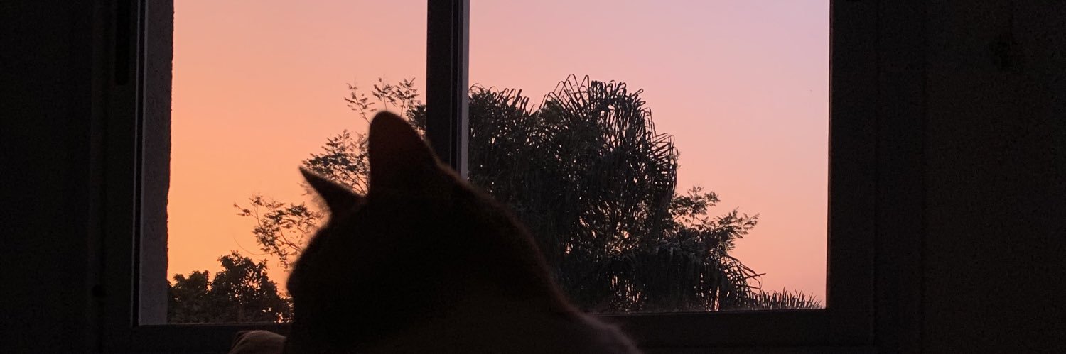 micasantori's profile banner image