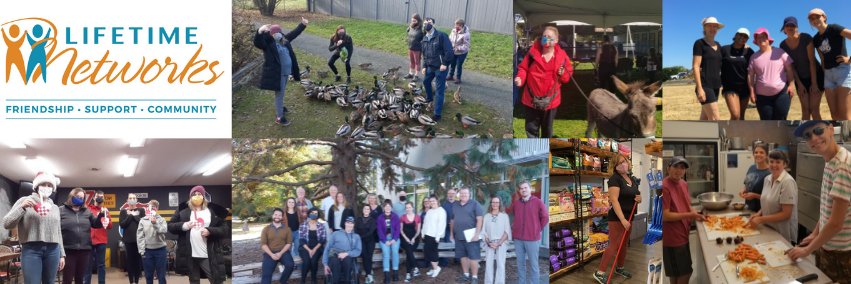 Lifetime Networks banner