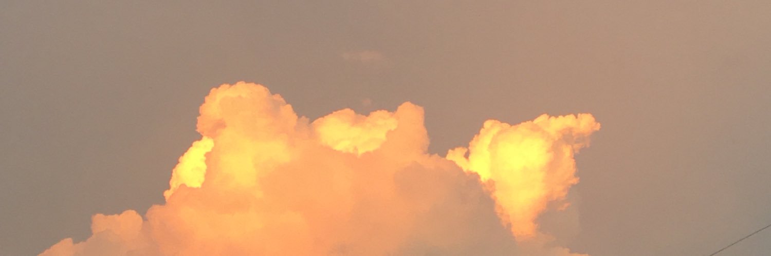 je banner