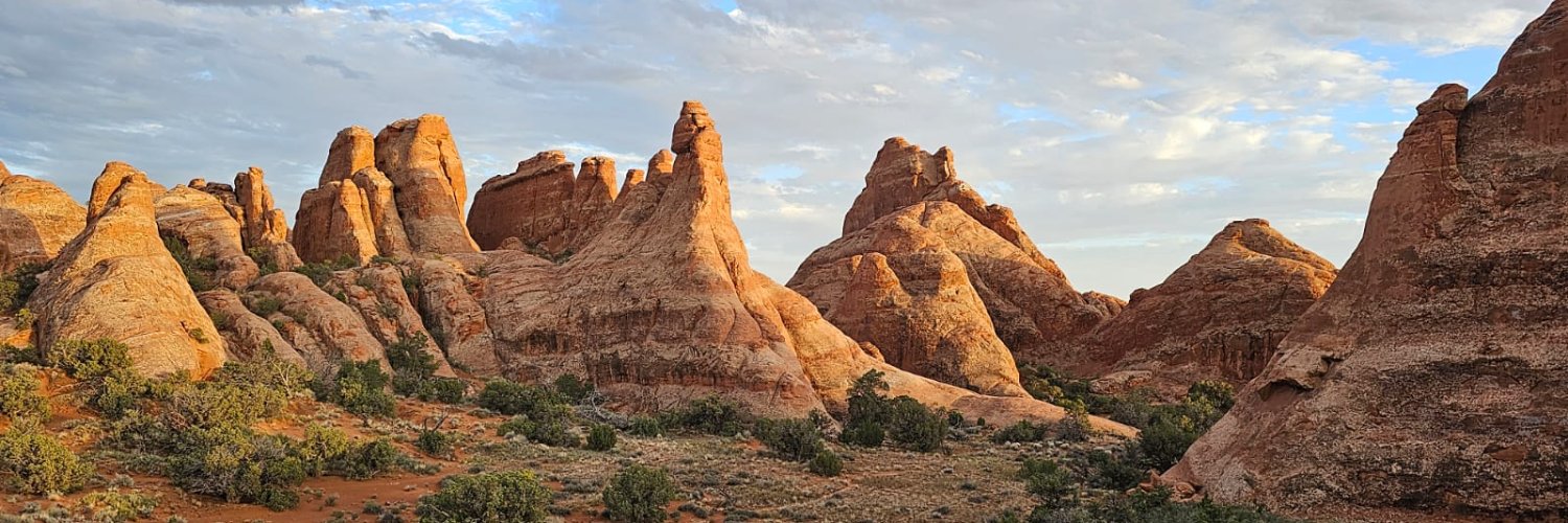 Hélène Chevallier banner
