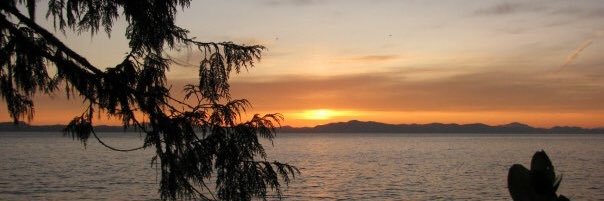 MissAnnette4's profile banner image