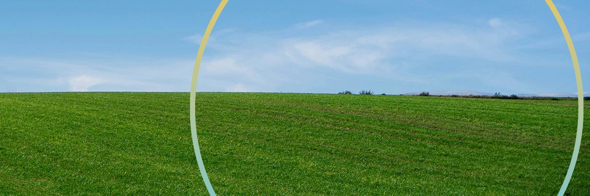 GreaterTxFound's profile banner image