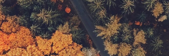 ringitingo's profile banner image