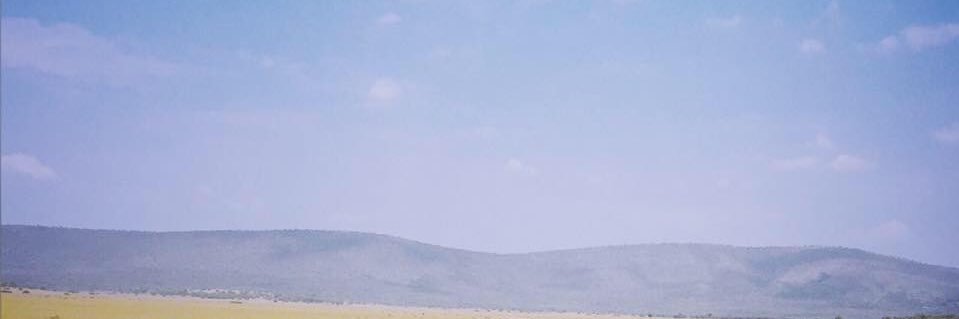 ruta banner