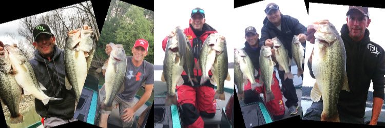 Nicholas Wheatley banner