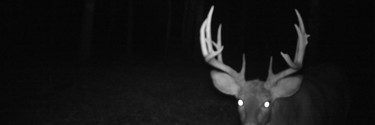 Lacack7's profile banner image