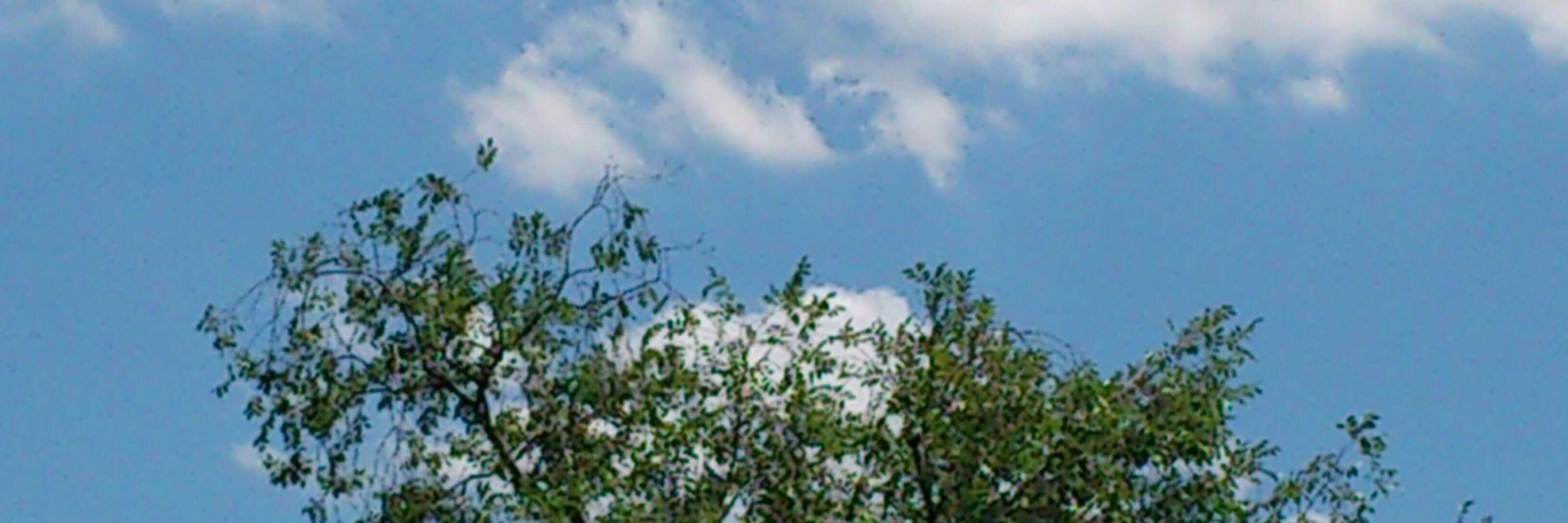 12a08Light's profile banner image