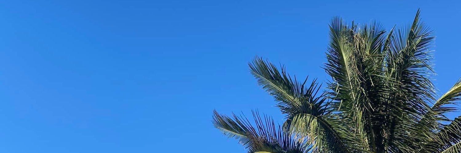 smareille6's profile banner image
