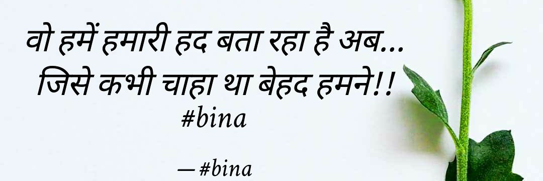 बीनाKapur banner