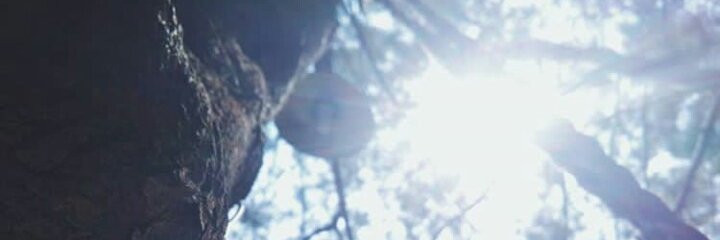 NaradwiA's profile banner image