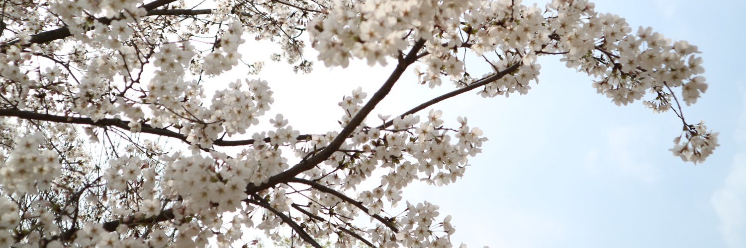 jonnacruzz's profile banner image