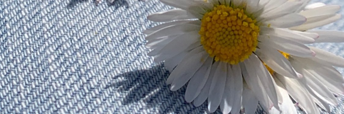 misslibo's profile banner image
