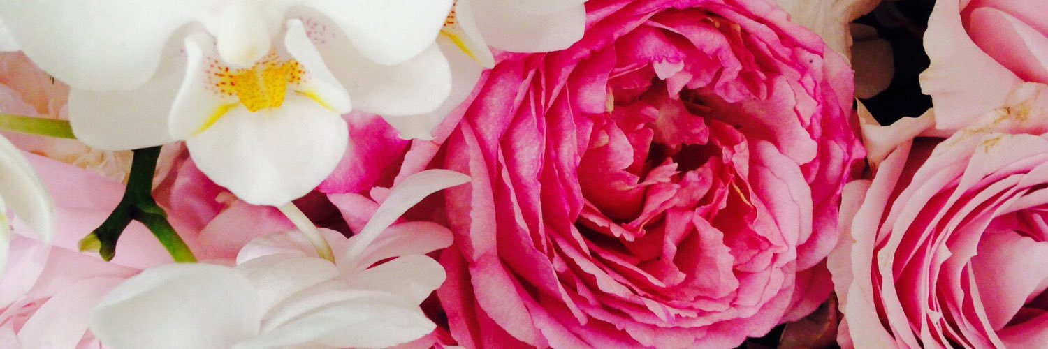 k1ss27's profile banner image