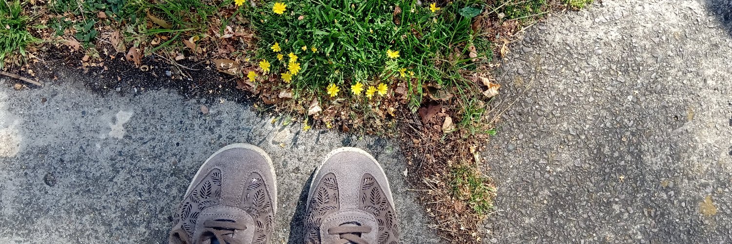 Sophie Leguil banner