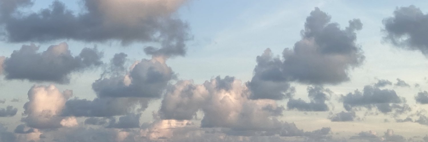 viniciusamc's profile banner image