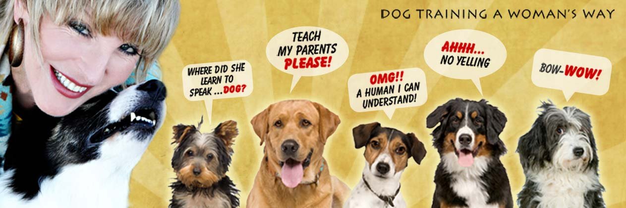 DogTalkDiva's profile banner image