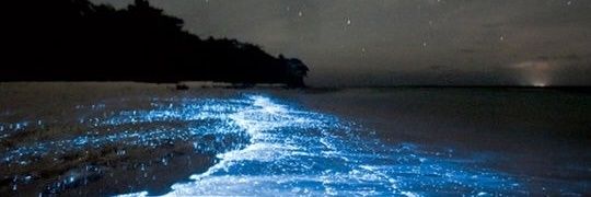 Бахус 💎 banner