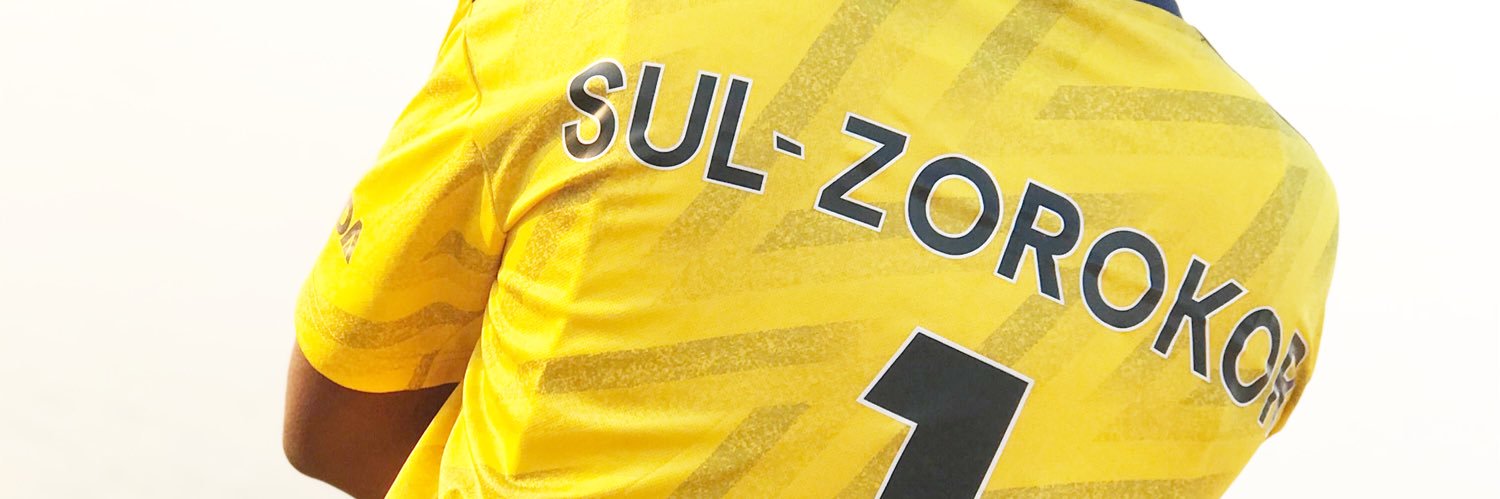 psulzorokor's profile banner image