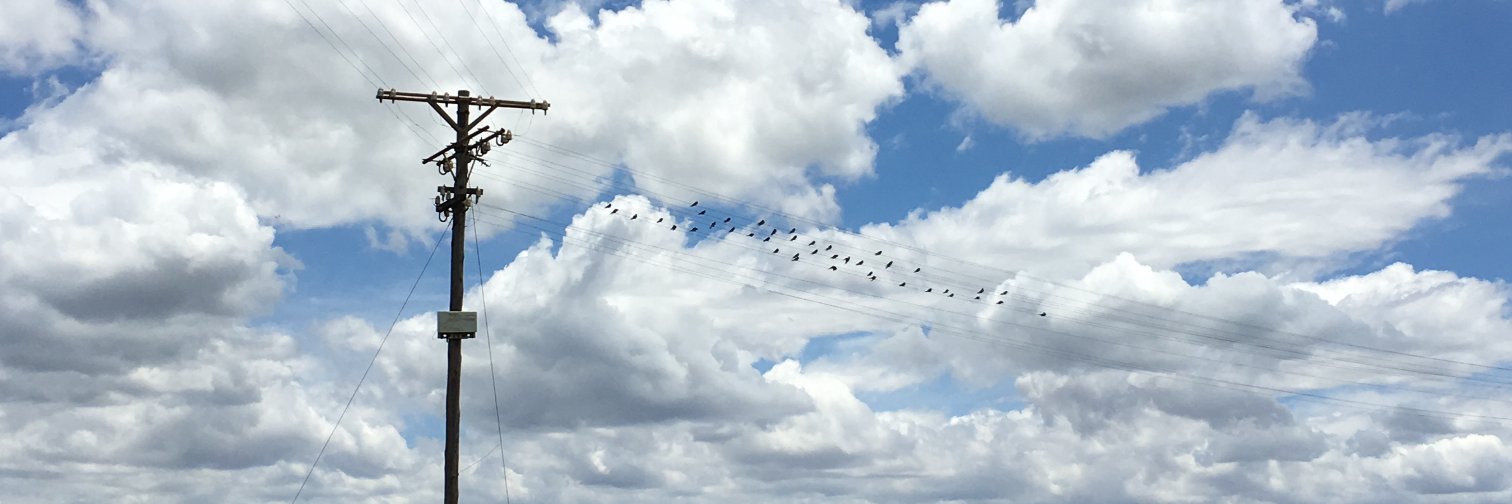 Lothar Böttcher banner