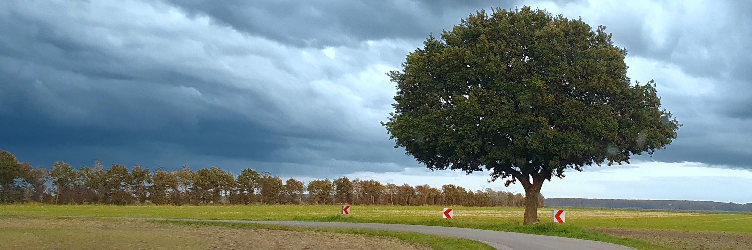 Christian Sterzik banner