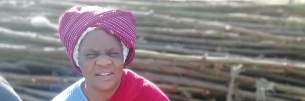 LMkula Profile Banner