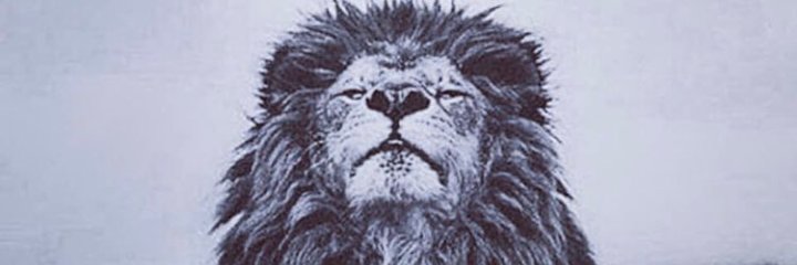 simonbby's profile banner image