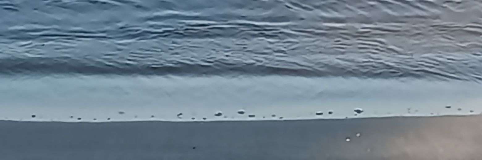 GSWYLLJ's profile banner image