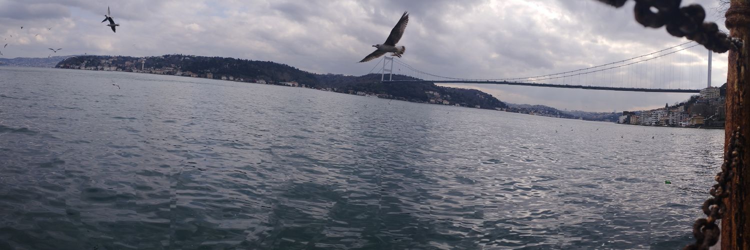 pilotizm's profile banner image