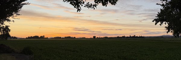 LexaTheStallion Profile Banner