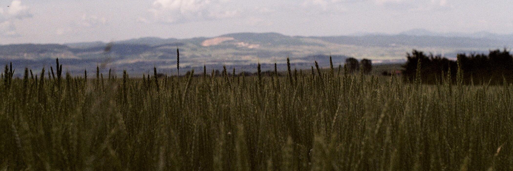 2ndHandGenious's profile banner image