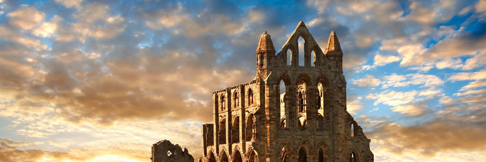 South Haven Whitby banner