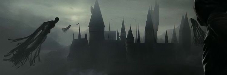 slnycelik's profile banner image